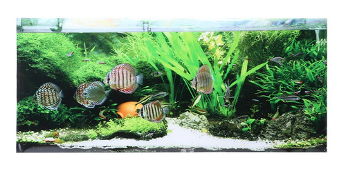 Aquarium Poster Pvc Adhesive Seabed Pequenos Peixes Plantas