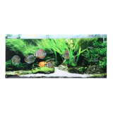 Aquarium Poster Pvc Adhesive Seabed Pequenos Peixes Plantas