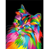 5d Diamond Painting,bordado Pintura Diamante - Gato 30x40