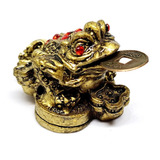 Figura De Rana Feng Shui Dorada Con Moneda