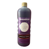 Shampoo Proliss (1 Litro)