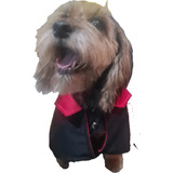 Disfraz Para Perro Vampiro Talla 2,4,6,8 