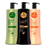 Haskell Kit 3 Shampoos Tutano Jaborandi E Cavalo Forte 1l