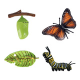 Juguetes Educativos Para Niños, Insectos, Mariposa, Modelo