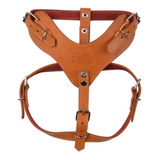 Pechera De Piel Para Perro Talla 7 Fancy Pets Xtreme