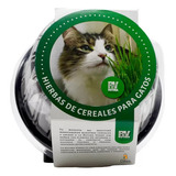 Rutina Verde Avena, Hierba De Cereales Para Gato, Golden Dog