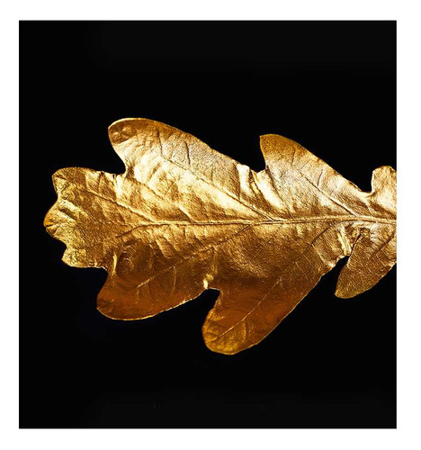 Vinilo 30x30cm Oro Hoja De Arbol Dorada Leaf Moderno