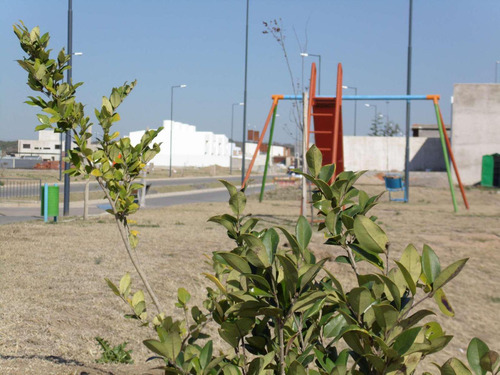 Lote Docta Venta - Imagen 2