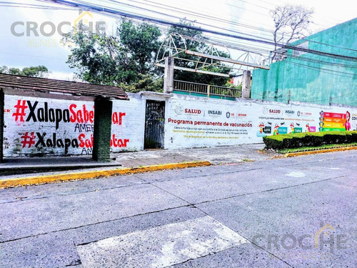 Terreno En Renta Ubicado En Av. Principal Entre Av. Miguel Alemán Y Lázaro Cárdenas