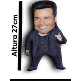 Cojín Peluche Chayanne Chiquito Mini Almohada Papa De Mexico