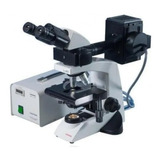 Microscopio Fluorescencia Hbo 50 W Lx400 Labomed