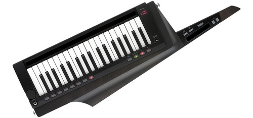 Teclado Sintetizador Rk100s Korg Rk-100s 2bk