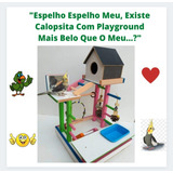 Calopsitas Playground Parquinho Parque Brinquedo Papagaio 