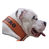 Collar Perro  Reforzado Personalizado Objetosdecuero