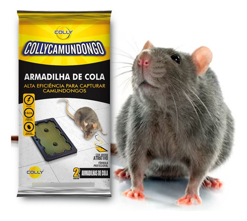 Mini Ratoeira Adesiva Pega Rato Camundongo Rato Pequeno 10 U