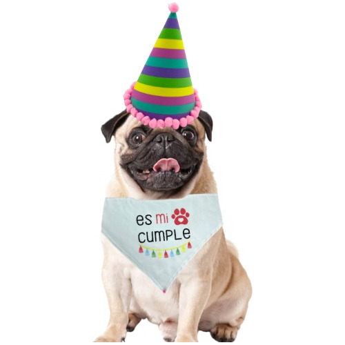 Gorro Y Paliacate Perro Feliz Cumpleaños Mascota