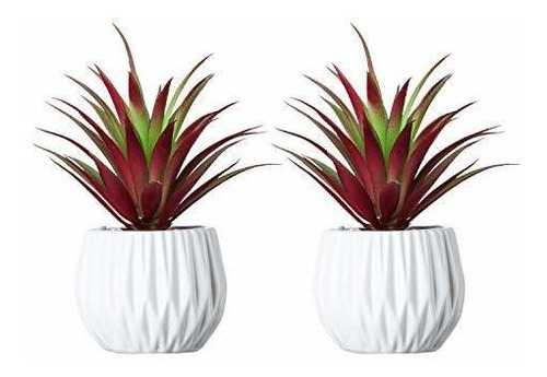 2pcs Plantas Suculentas Artificiales En Crisoles De Cer...