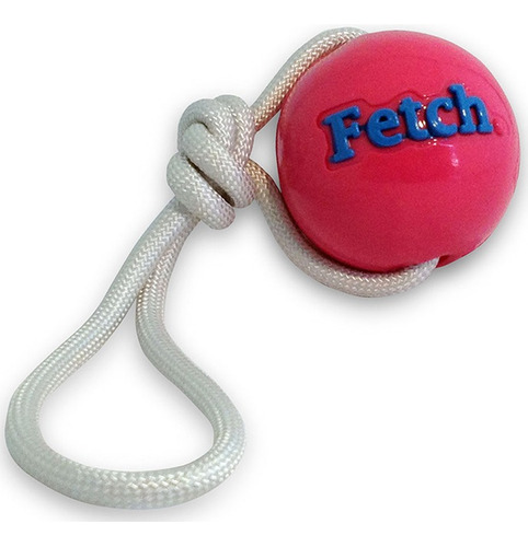 Planet - Dog Fetch Ball Rosada