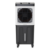 Climatizador Clin 80 Pro Br/pr 150w Ventisol 80 Litros