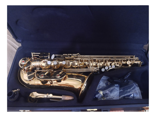 Saxofone Alto Prelude As710 Selmer Usa.  Excelente 