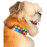 Collar Artesanal Para Perro Variedad Colores Chico