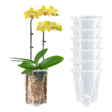 Paquete De 6 Macetas De Orquídeas Transparentes De Plástico 