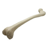 Femur - Impresión 3d - Anatomía - Stock Disponible