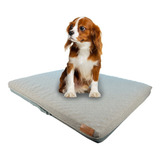 Cama Mascota Maite Gris 80x67x10 Cm M