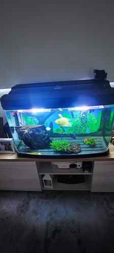 Acuario Dm-800