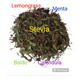  Stevia, Boldo,menta,manzanilla, Lemongrass, Calendula 100g.