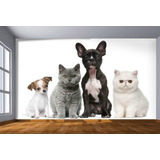 Adesivo De Parede Animais Cão Gato Pet Shop 3d M² Anm116