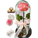 Rosa Preservada Amor Y Amistad + Luz + Ferrero + Envio