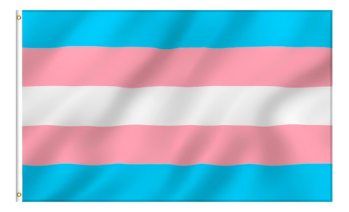 Bandera Trans Lgbt Pride 150x90cm Comunidad Orgullo