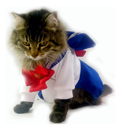 Ropa Buzo Vestido Perro Gato Mascota  Anime 