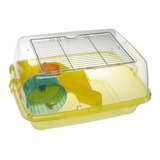  Hámstera Habitat Hamster Topo Ruso 57 X 40 X 25