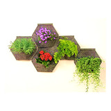 Muros Verdes Naturales Jardin Vertical Hexagonal 8 Pack 