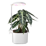 Lámpara De Luz Led Para Crecimiento De Cultivos Indoor 10w
