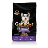 Alimento Ganador Premium Perro Cachorro Raza Grande/med 20kg