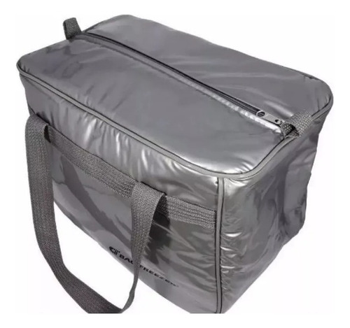 Bolsa Térmica Cotérmico Bag Freezer 39 Litros  Em Pvc Prata