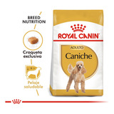 Alimento Balanceado Royal Canin Caniche Adulto - 7.5kg