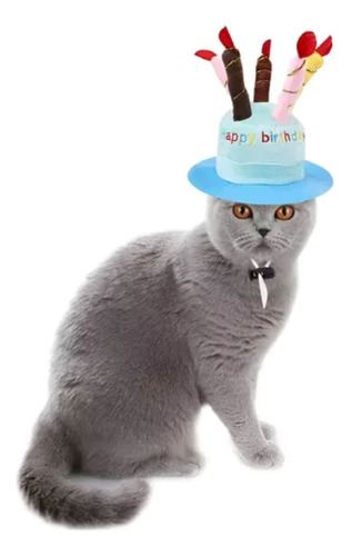 Sombrero Difraz Perro Gato Mascota Happy Cumpleaños 