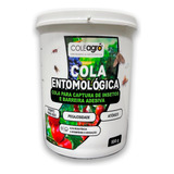 Cola Entomológica 500 Gr - Armadilha Insetos Agricultura