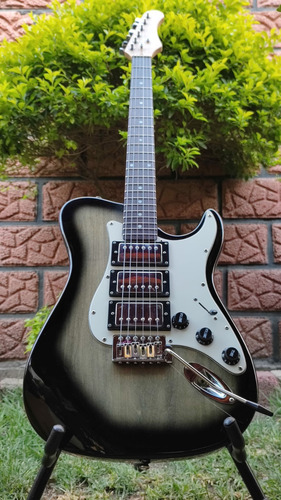 Guitarra Electrica Customizada Tele Paul Caster  Gt500 