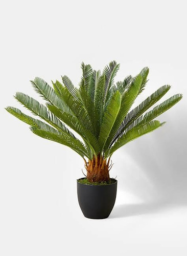 Palmera Cica Artificial Con Base