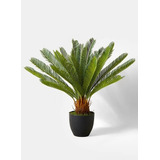 Palmera Cica Artificial Con Base