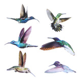 Calcomanías Translúcidas De Alerta Con Forma De Colibrí Para