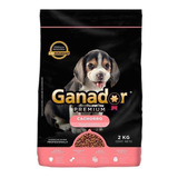 Alimento Ganador Premium Cachorro Raza Pequeña Bolsa De 2kg