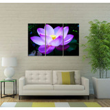 Cuadro 40x60cm Loto Flor Buda Zen Meditacion