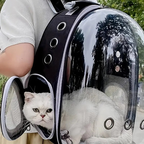 Mochila Transparente Burbuja Para Gatos Perros Mini Mascotas