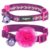 Blueberry Pet The Power Of All In One Collar Ajustable